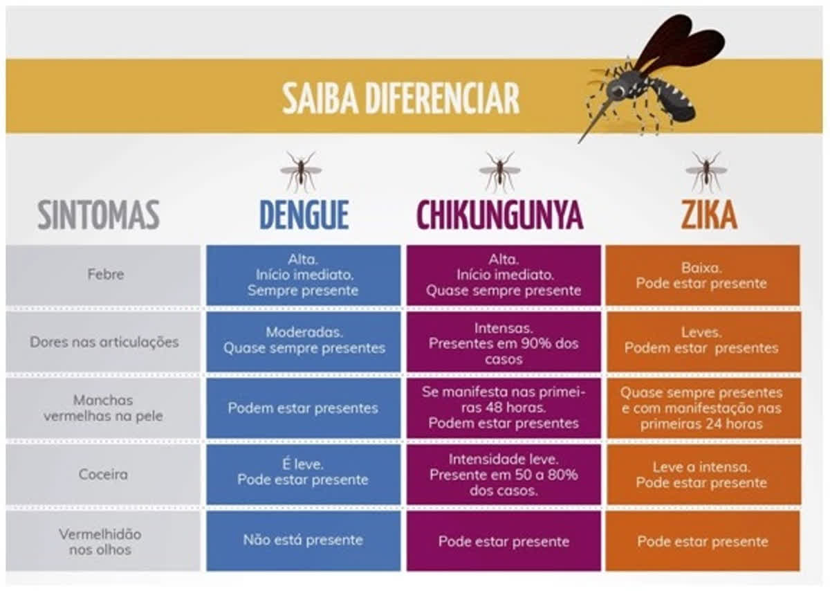 Quais são as Diferenças Entre os Dois Vírus?