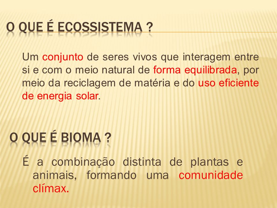 Comparando os Componentes dos Ecossistemas e Biomas