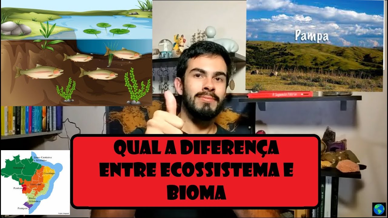 Conclusão: Diferenças entre Ecossistemas e Biomas