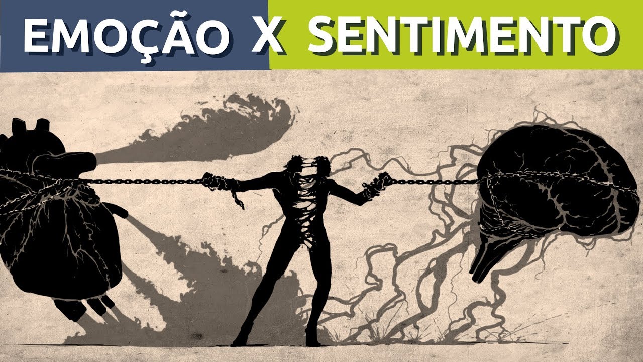 O Que São Sentimentos?