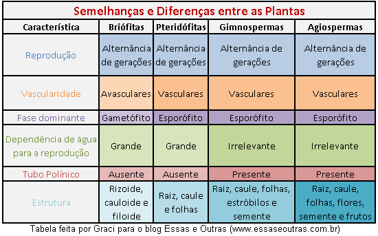 Como as Gimnospermas e Angiospermas Se Reproduzem?