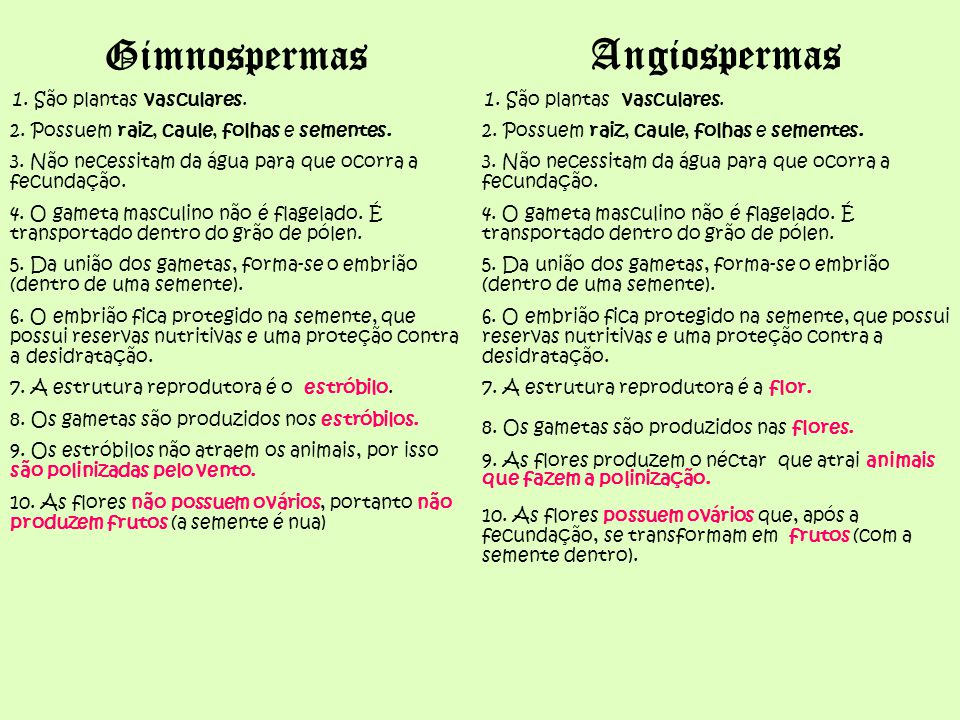 Benefícios Ambientais das Angiospermas