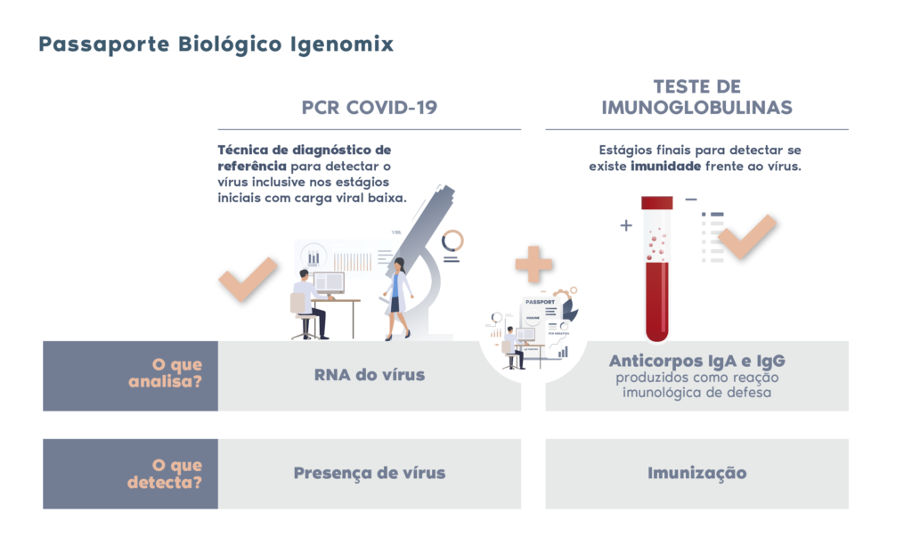 Quais São os Papéis das Imunoglobulinas G (IgG) e M (IgM)?