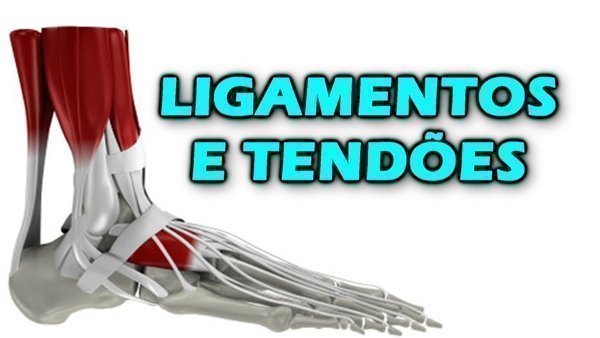 Qual é a Diferença Entre Ligamento e Tendão?