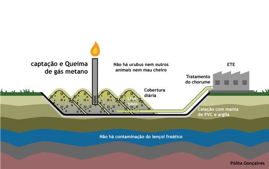 Quais São as Diferenças Entre os Dois?