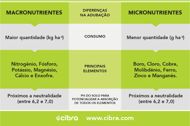 Quais as Diferenças Entre Macronutrientes e Micronutrientes?