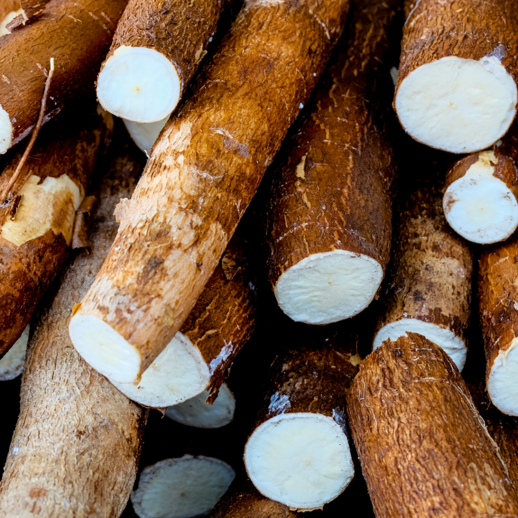 Características Nutricionais das Plantas