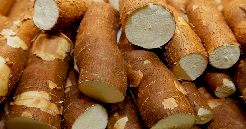 Como Usar Mandioca e Macaxeira na Cozinha