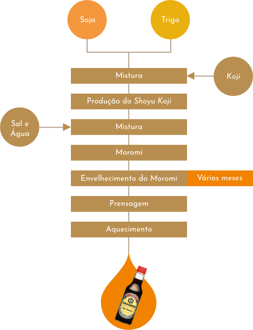 Compreendendo a Diferença entre Molho Shoyo e Molho Inglês