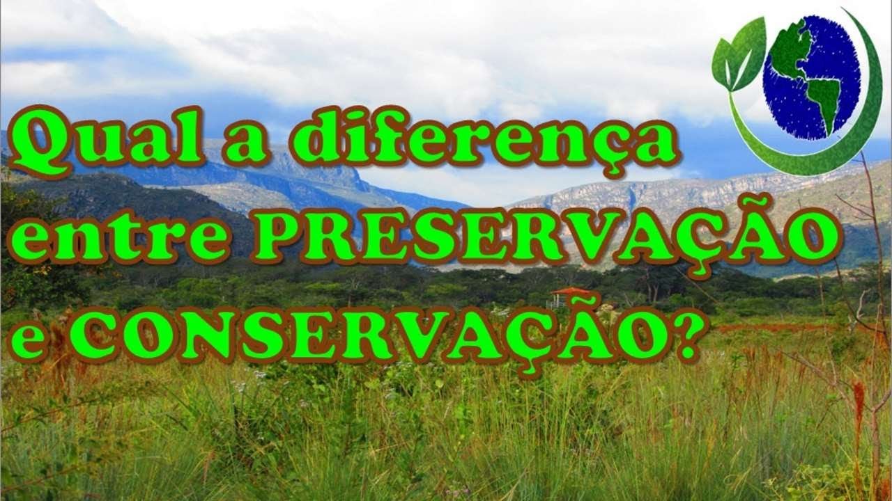 Por que Preservar e Conservar São Importantes?