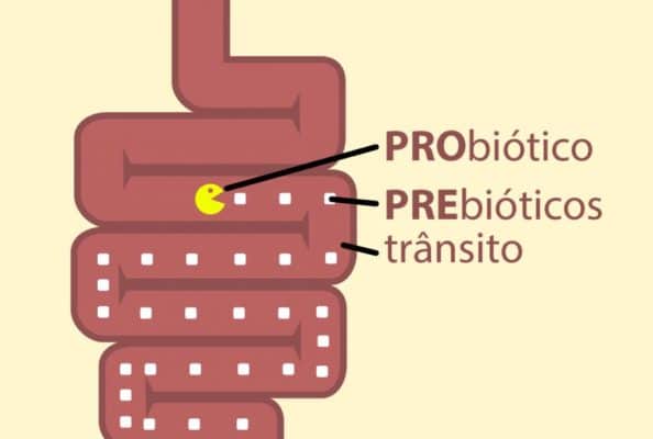 Quais são as Diferenças Entre os Dois?