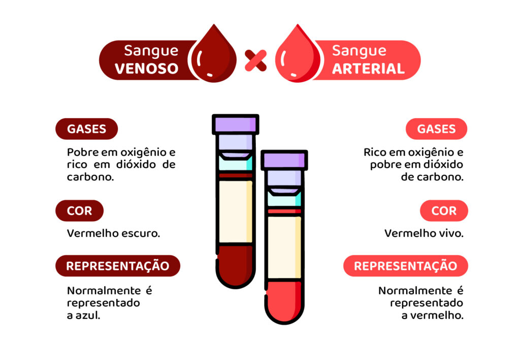 Entendendo a Diferença entre Sangue Venoso e Arterial