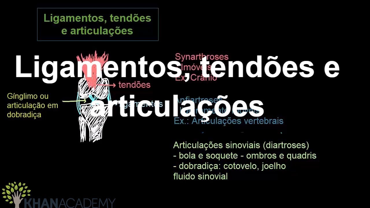 Qual é a Importância de Cada Um Para o Corpo Humano?