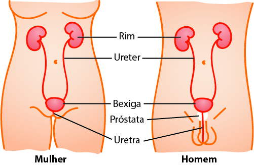 Quais Complicações Podem Acontecer com Estas Estruturas?