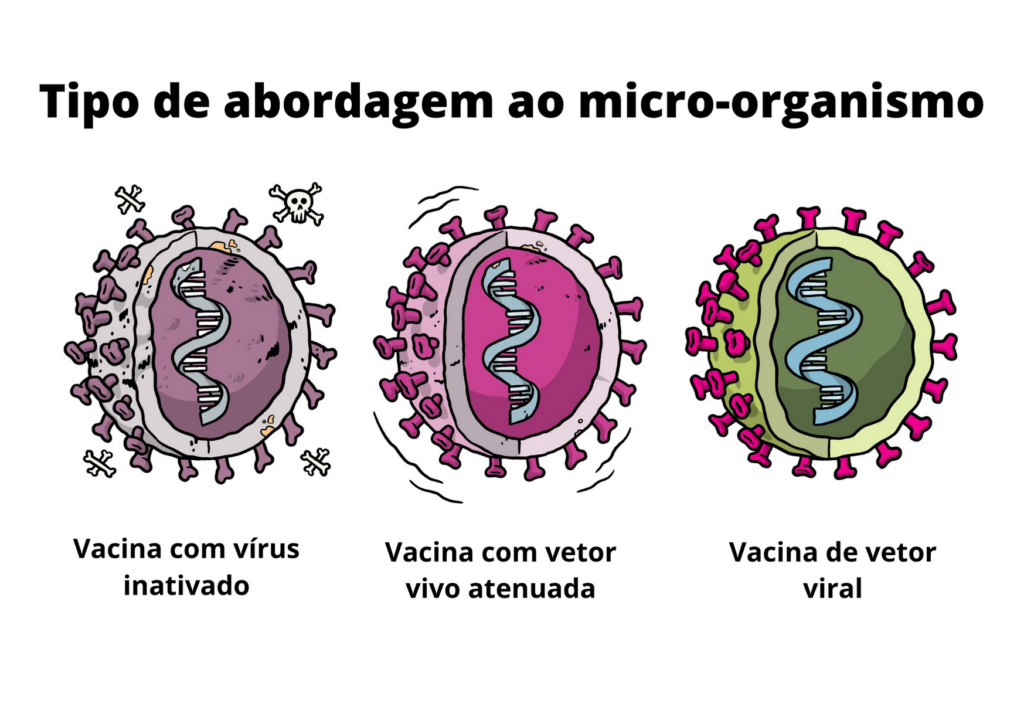 Quais São as Vantagens de Cada Tipo de Vacina?