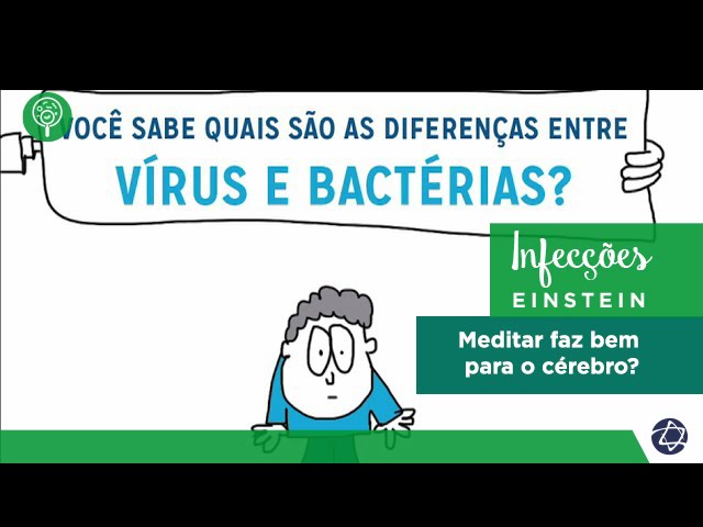 Características que Definem Vírus e Bactérias