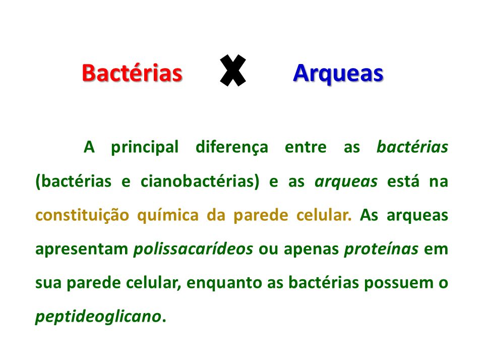 Comparando Bactérias e Archaeas