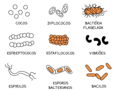 Características Físicas e Químicas diferentes