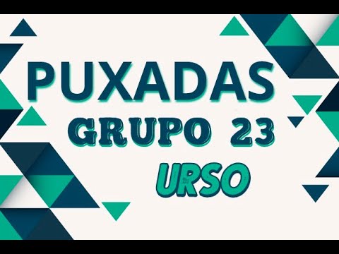 Aprenda as melhores formas de realizar a puxada do urso