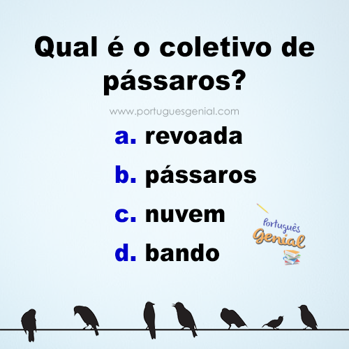 Compreenda os Benefícios de Formar um Coletivo de Aves