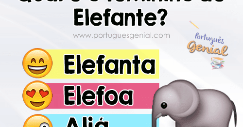 Saiba como se Juntar a um Coletivo de Elefante