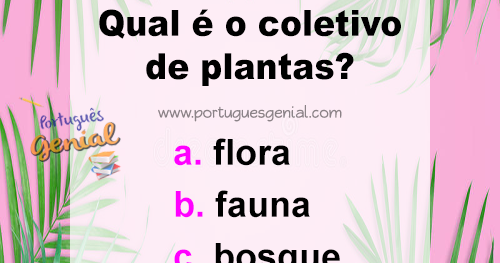 Compreenda os Benefícios Ambientais do Coletivo de Flores