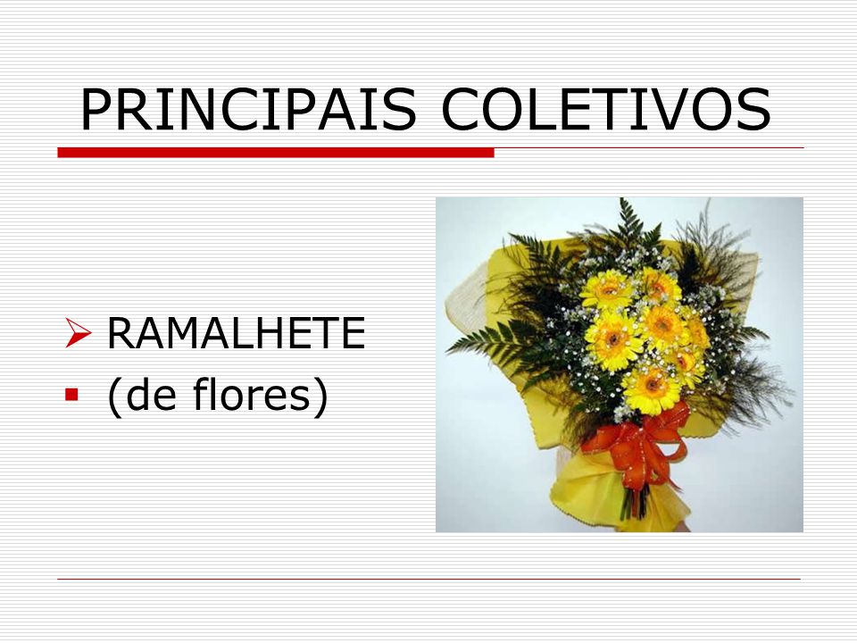 Explore as Possibilidades Criativas com o Coletivo de Flores