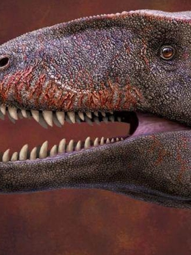 Descubra o Dinossauro com 500 Dentes!