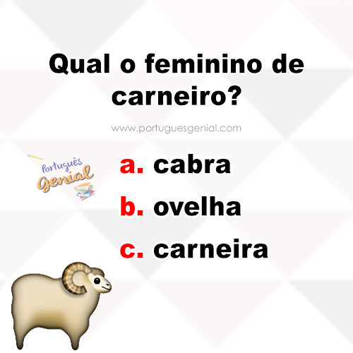 Descobrindo o Feminino desses Animais