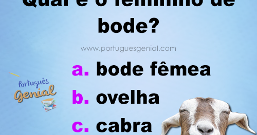 Fêmea  | Galo  | Bode   | Carneiro