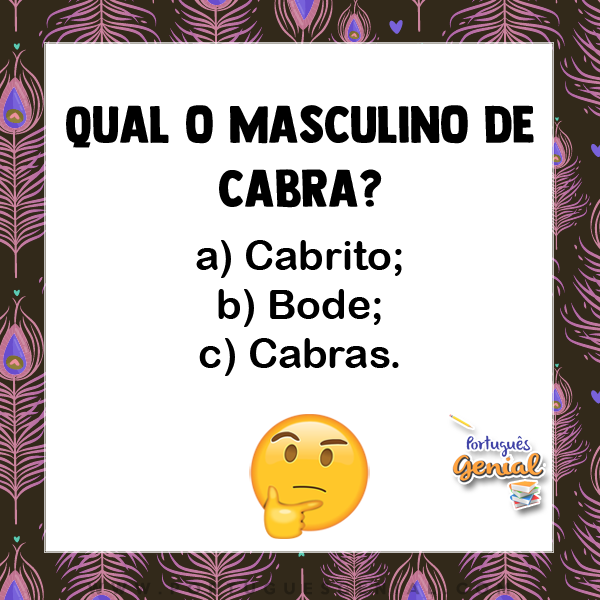 Entendendo a Diferença entre Machos e Fêmeas de Cabras