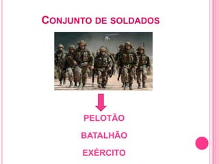 Qual O Nome Do Coletivo De Soldado Vivendobauru Com Br