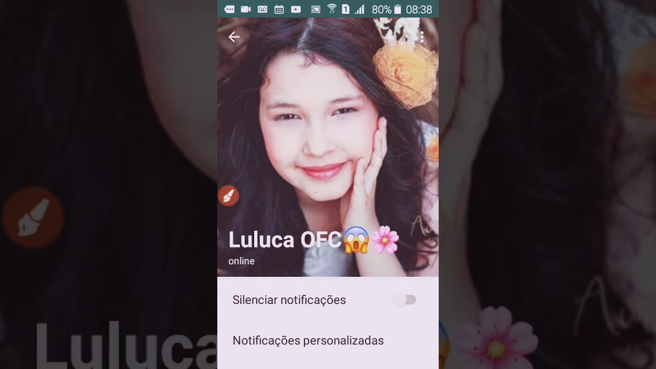 O Que Significa o Número da Luluca?