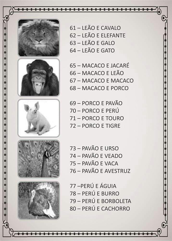 Aprenda as regras para jogar com o número do macaco