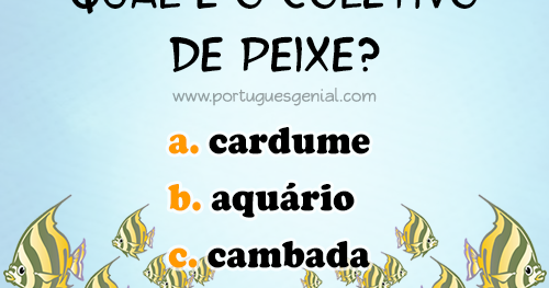 Aprenda sobre os Benefícios do Coletivo de Peixe e Cardume