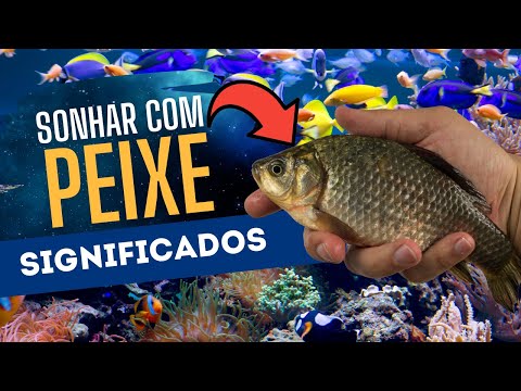 Como Usar o Número da Sorte Para Ajudar a Realizar Seus Sonhos?