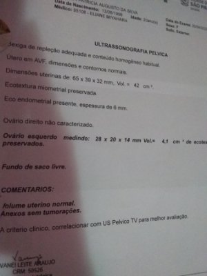 O Que Determina o Tamanho e Volume dos Ovários?