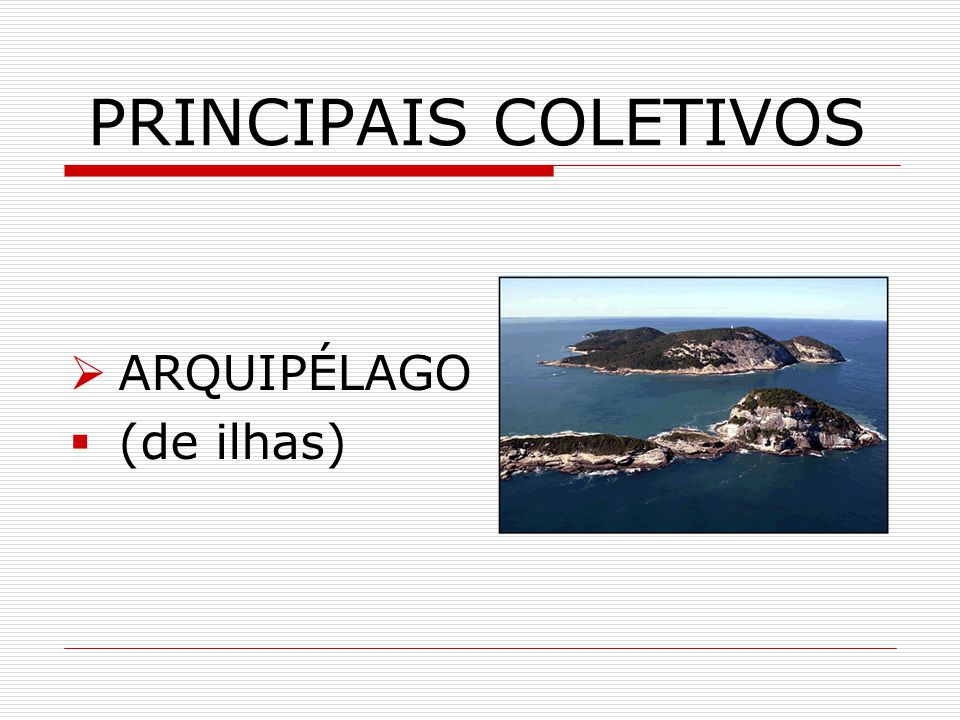 Entenda como os Coletivos de Ilha Funcionam