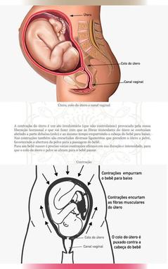 Entenda como isso afeta o bebê e os cuidados necessários