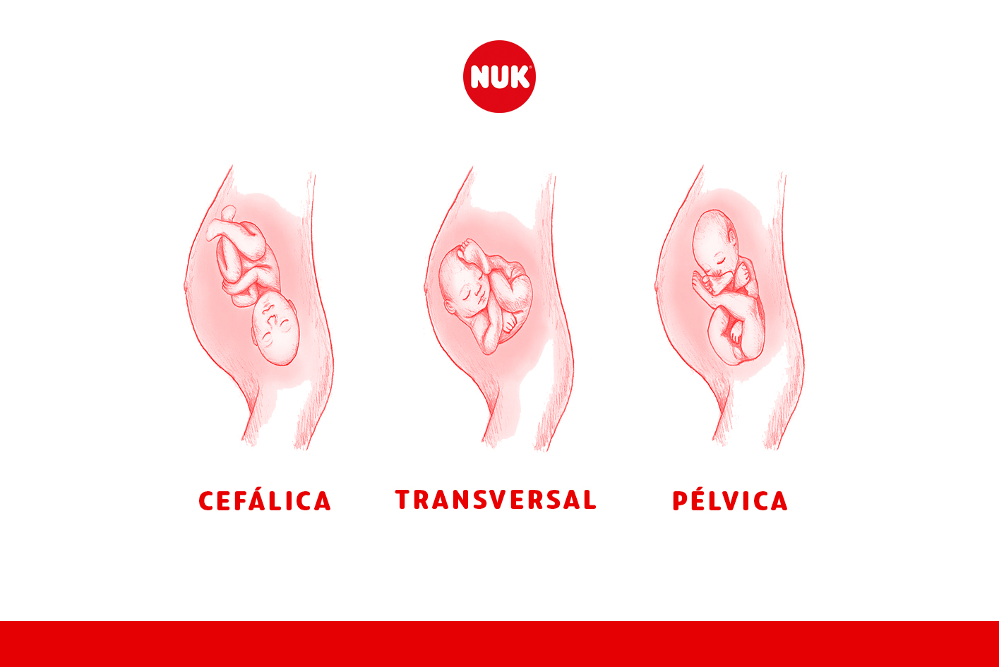 Quais São os Riscos de Ter Relações Durante o Encaixe?