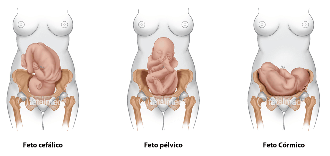 Posições Recomendadas para a Relação durante o Encaixe