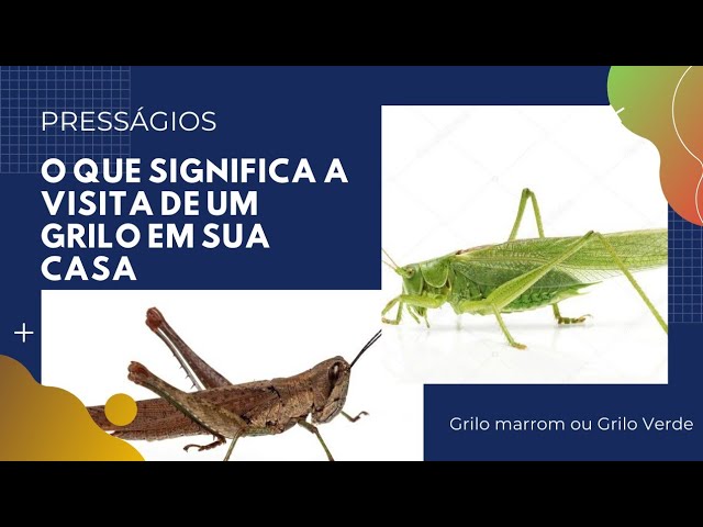 Compreenda a Lenda do Grilo Verde e Seu Significado