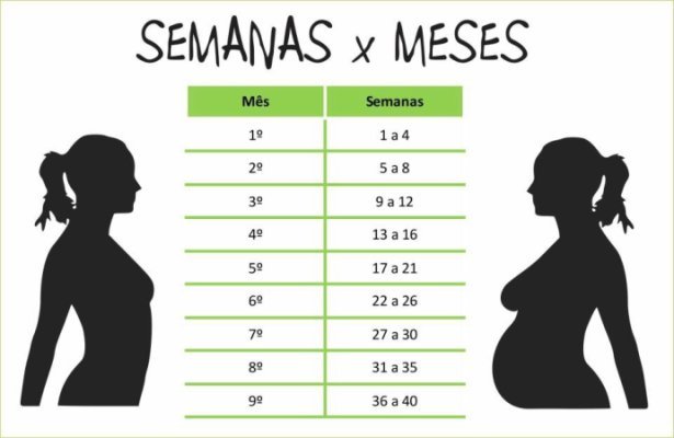 Calculando o Tempo em Semanas para Cada Mês do Ano