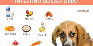 Como Calcular o Tamanho da Dose Certa de Luftal para Seu Cão