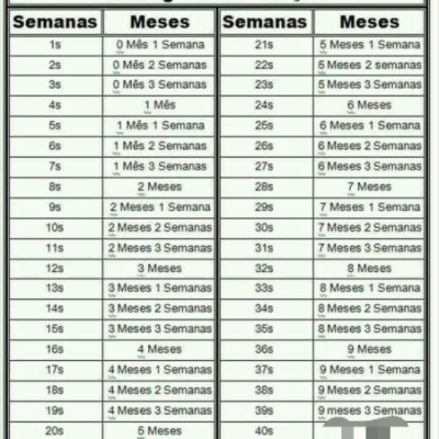 Saiba como calcular 6 meses em dias