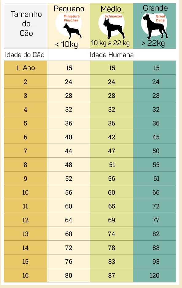 Como 2 Anos Se Comparam a Outros Períodos de Tempo?