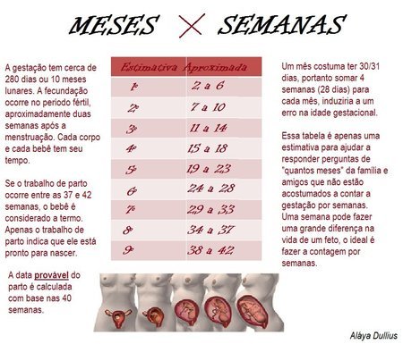 Quantos Meses Equivalem a 48 Semanas?