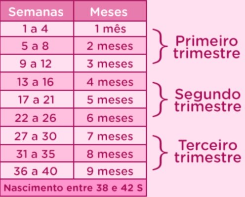 Compreenda como calcular o número total de dias em 6 meses