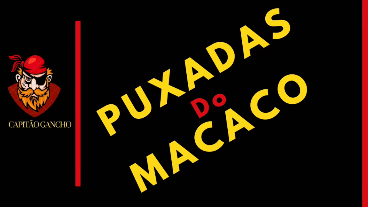 Compreenda os Benefícios de Ter um Bicho Macaco Puxa