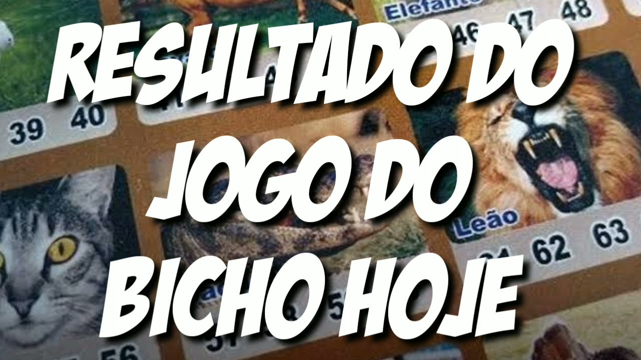 Fique Por Dentro dos Resultados Mais Recentes do Jogo do Bicho